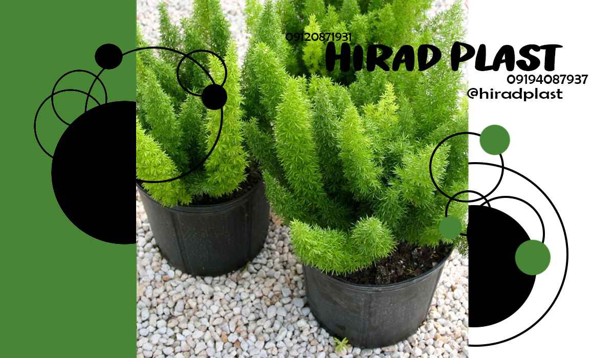 خرید گلدان پلاستیکی