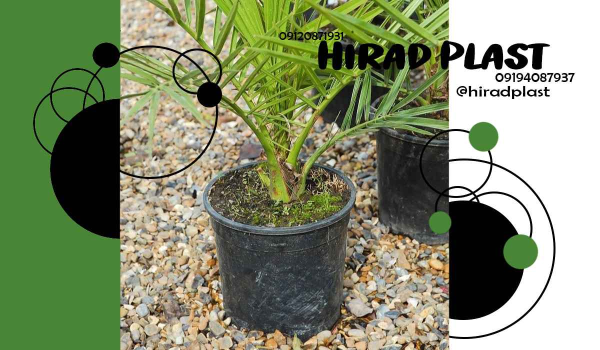 قیمت گلدان پلاستیکی