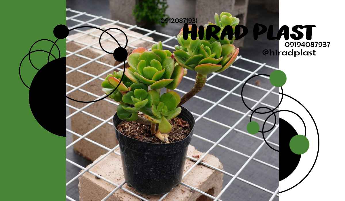 گلدان پلاستیکی ارزان