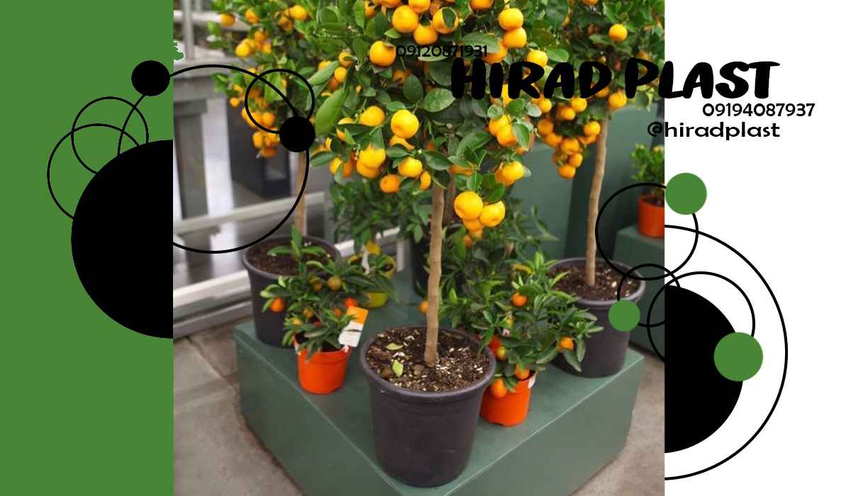 گلدان پلاستیکی باغی