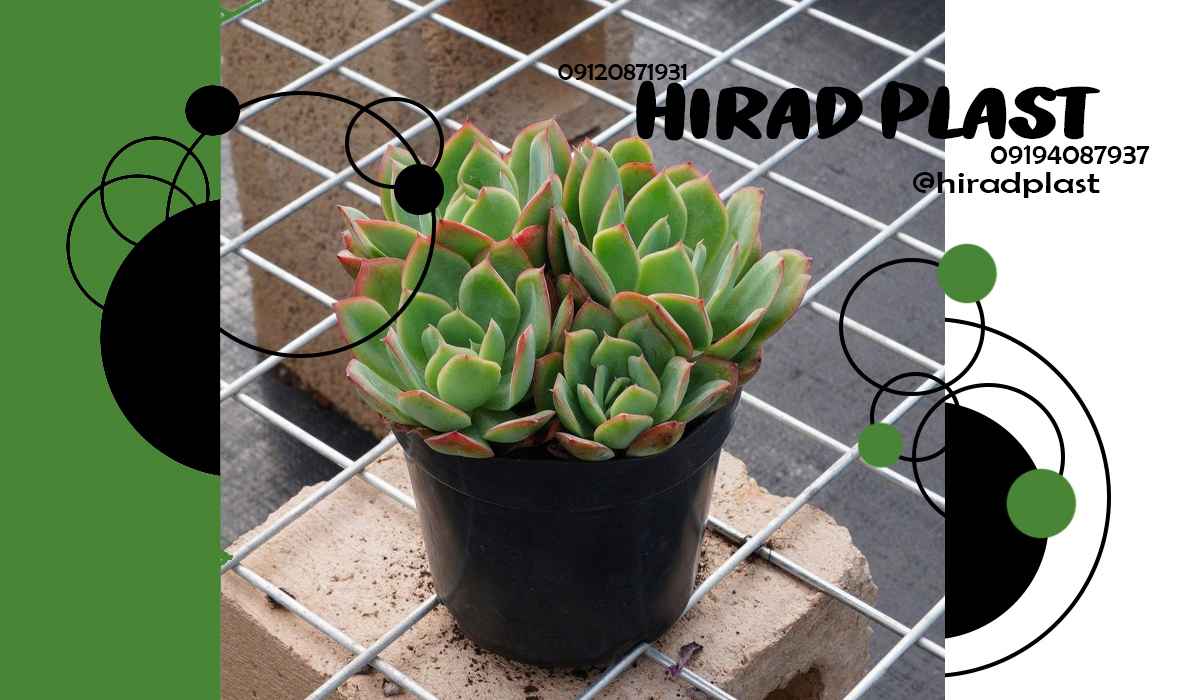 گلدان پلاستیکی عمده