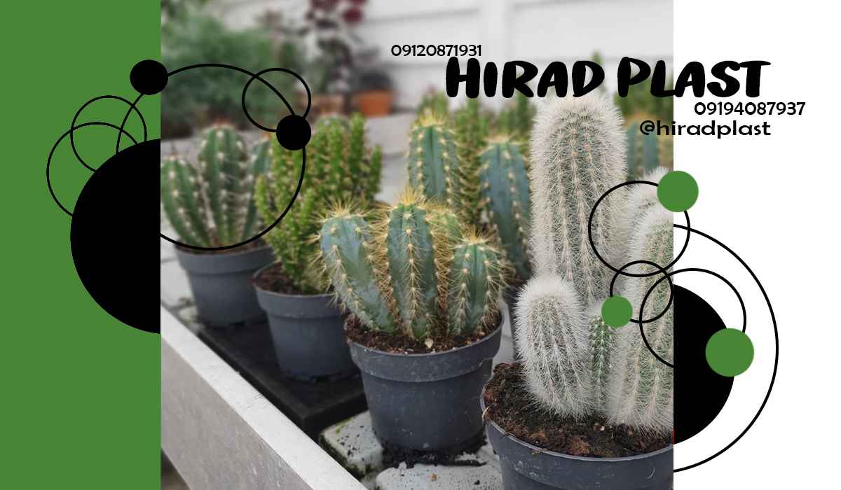 گلدان پلاستیکی نشا