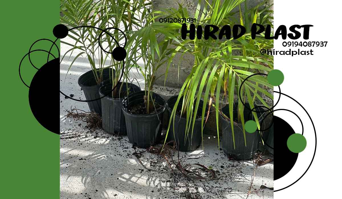 گلدان پلاستیکی کشاورزی