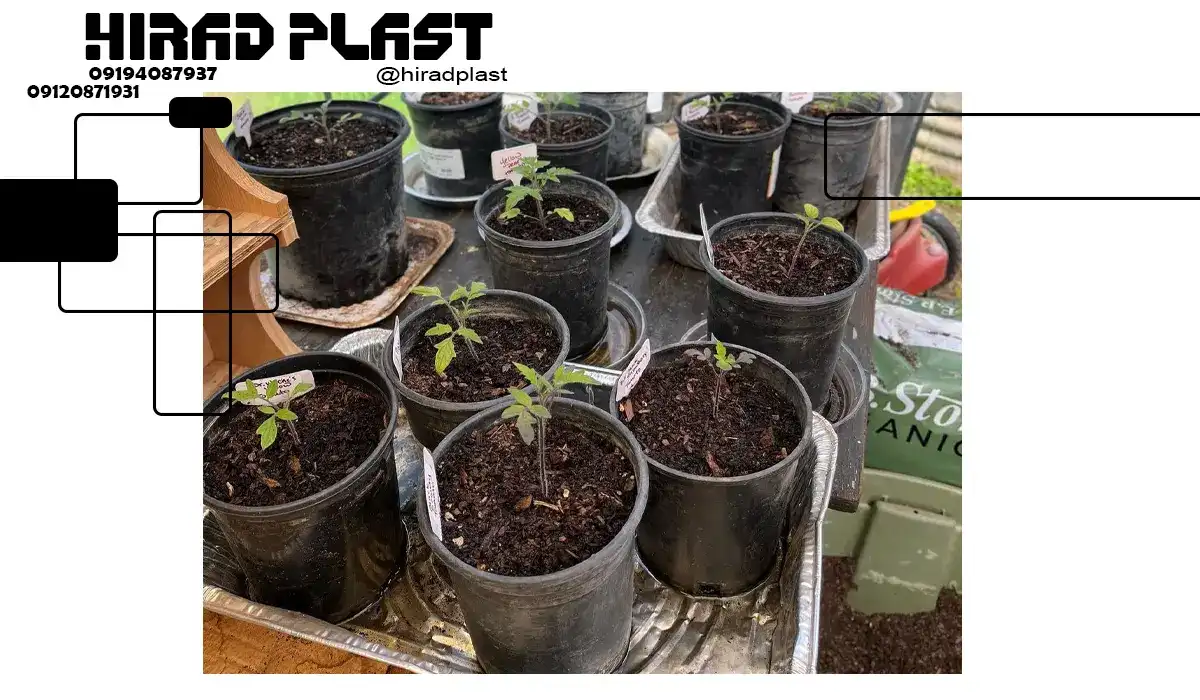 قیمت گلدان مشکی