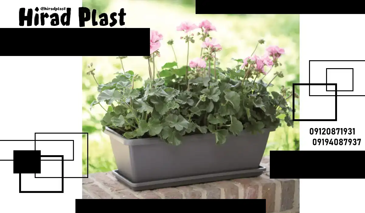 خرید گلدان عمده