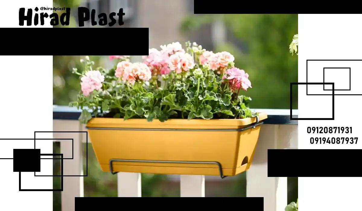 گلدان آپارتمانی