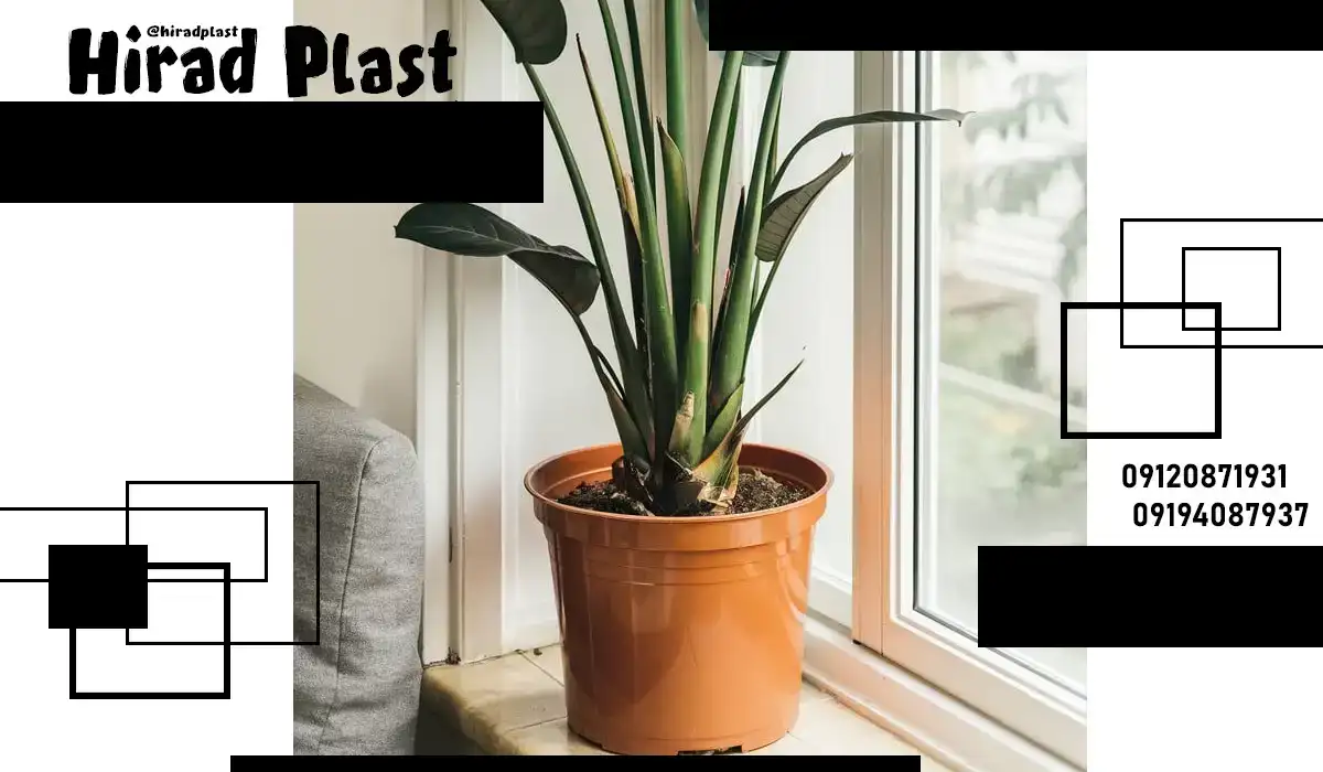 گلدان فلاورباکس عمده