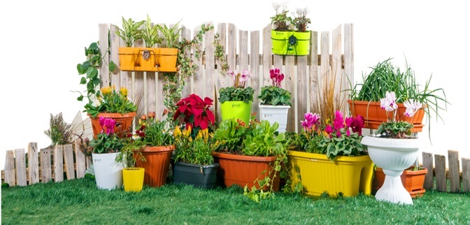 تولیدی گلدان پلاستیکی