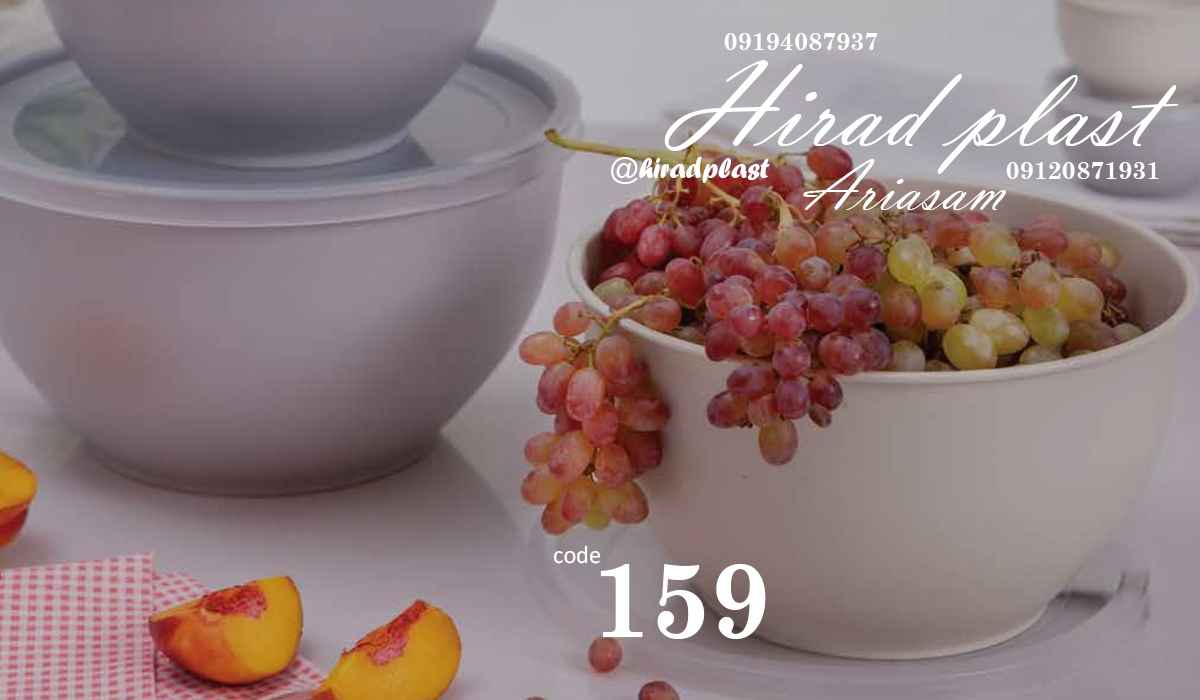 ظرف غذا پلاستیکی