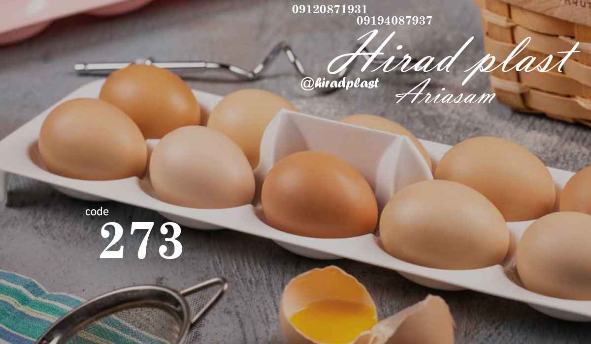 نظم دهنده یخچال