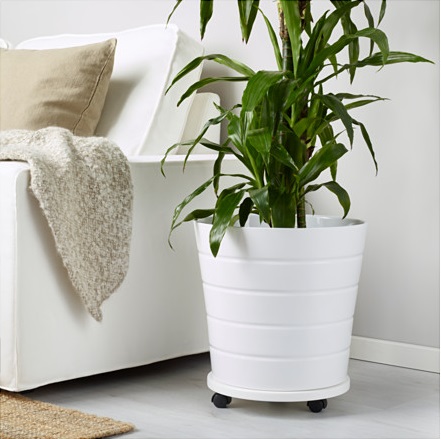 قیمت گلدان پلاستیکی