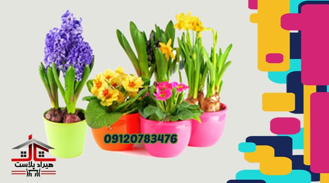 گلدان پلاستیکی رنگی