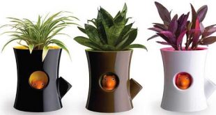 خرید گلدان پلاستیکی تزئینی