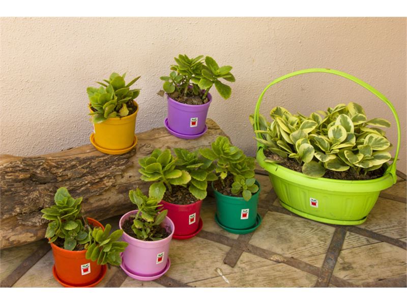 خرید گلدان پلاستیکی تزئینی