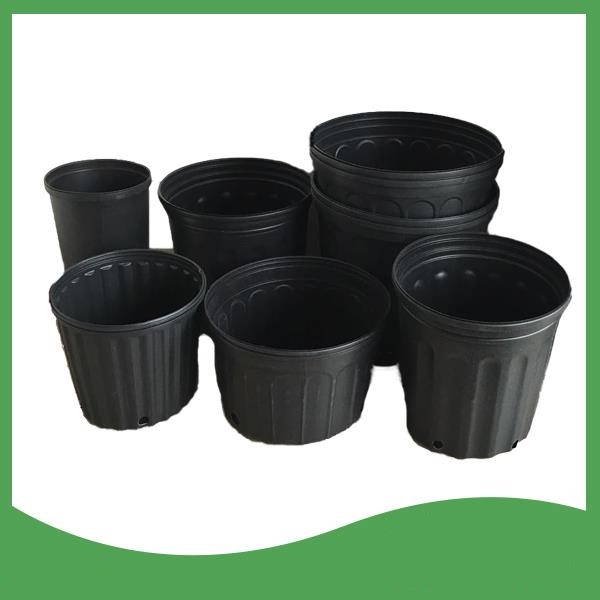 خرید گلدان پلاستیکی ارزان گلخانه ای