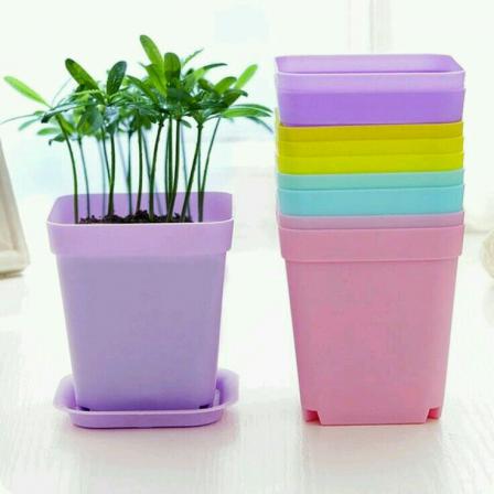 خرید عمده گلدان پلاستیکی رنگی کوچک با بهترین قیمت