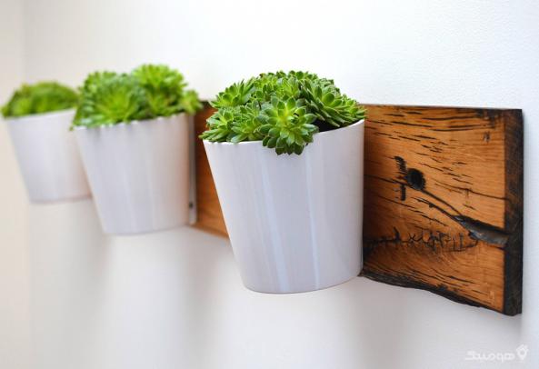 قیمت روز انواع گلدان پلاستیکی گلخانه ای