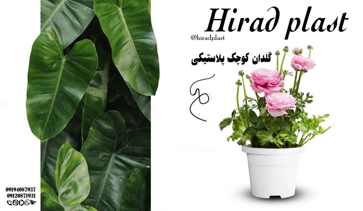 خرید گلدان پلاستیکی