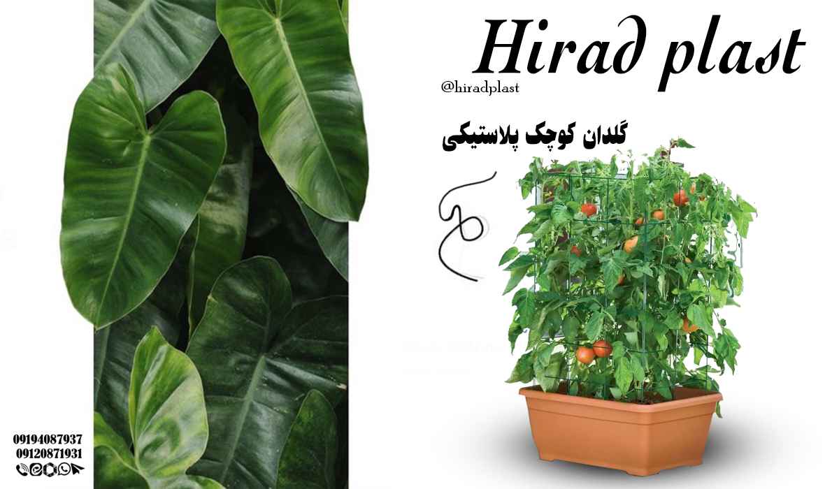 گلدان مستطیلی