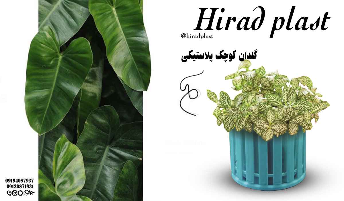 گلدان پلاستیکی