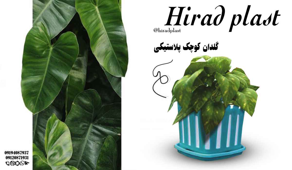 گلدان پلاستیکی رنگی