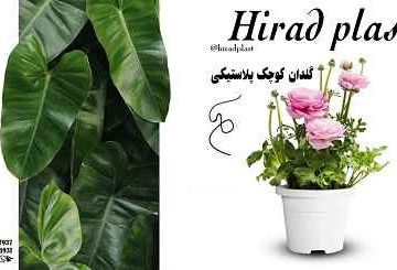 گلدان پلاستیکی کوچک