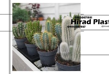 گلدان پلاستیکی