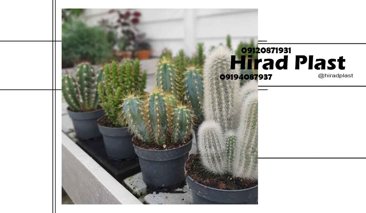 گلدان پلاستیکی ارزان