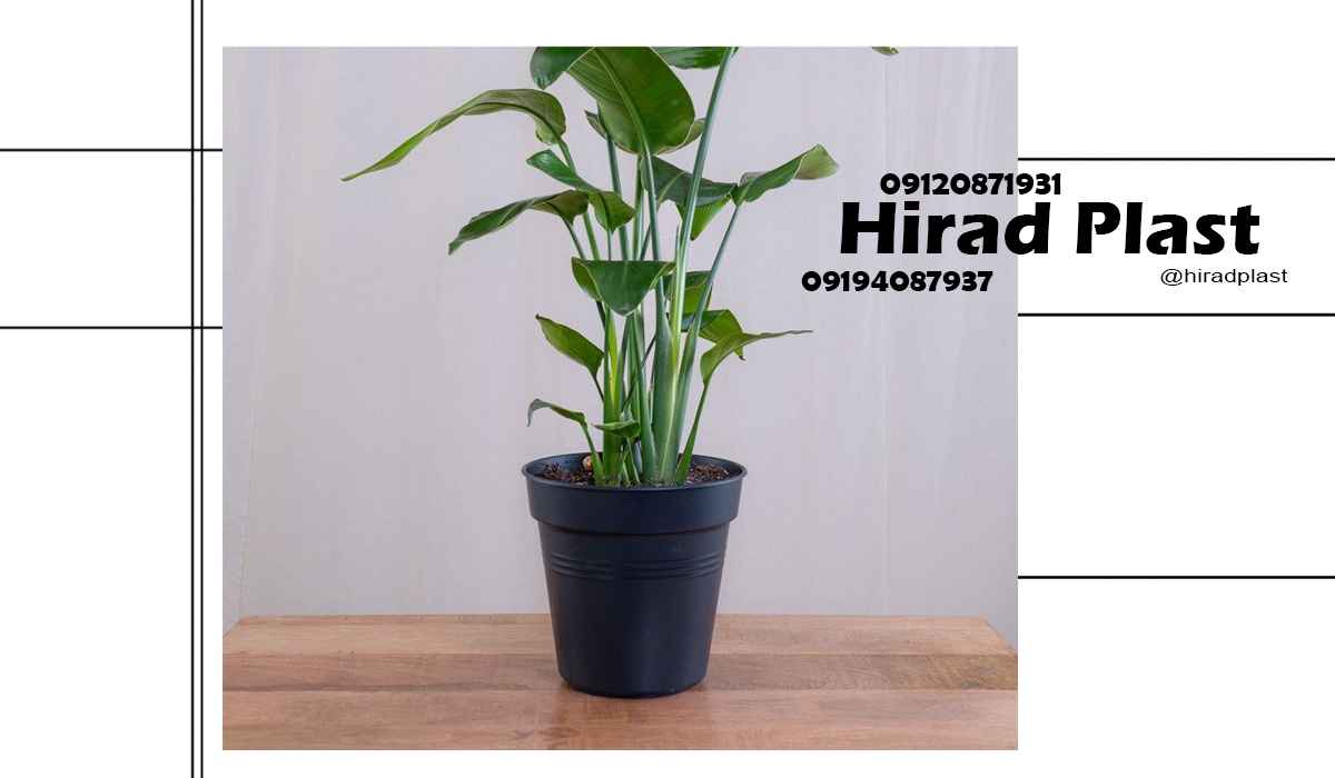 گلدان پلاستیکی باغی