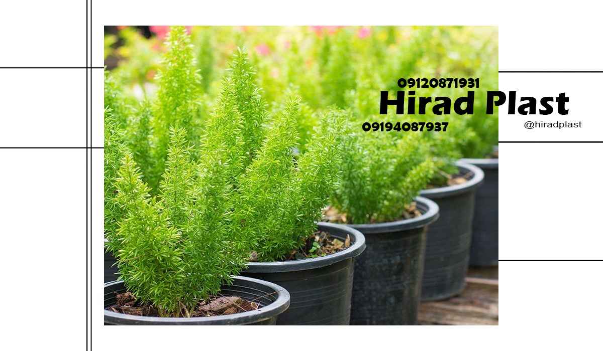 گلدان پلاستیکی سطلی