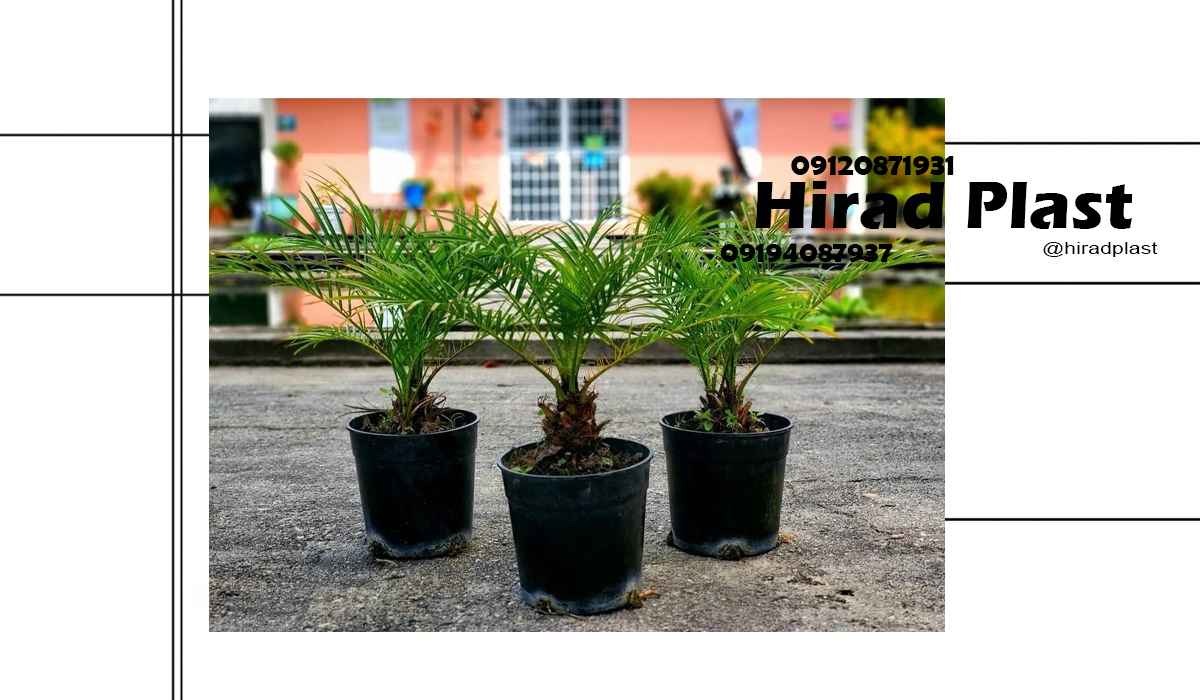 گلدان پلاستیکی مشکی