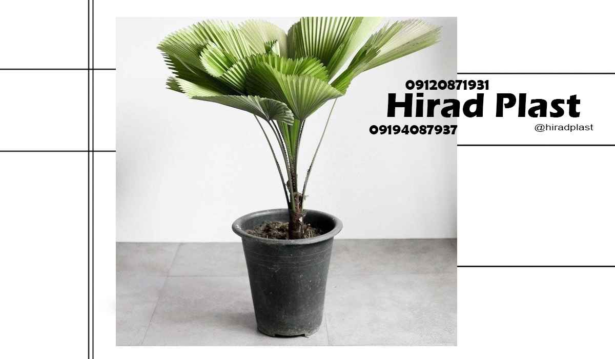 گلدان پلاستیکی گلخانه