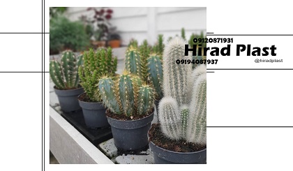 گلدان پلاستیکی