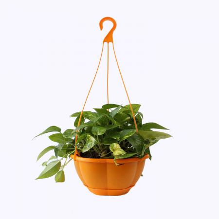 گلدان های پلاستیکی آویزان در کجا استفاده می شود؟