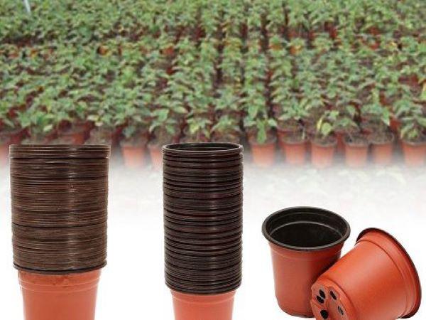 معرفی مشخصات گلدان پلاستیکی ژله ای