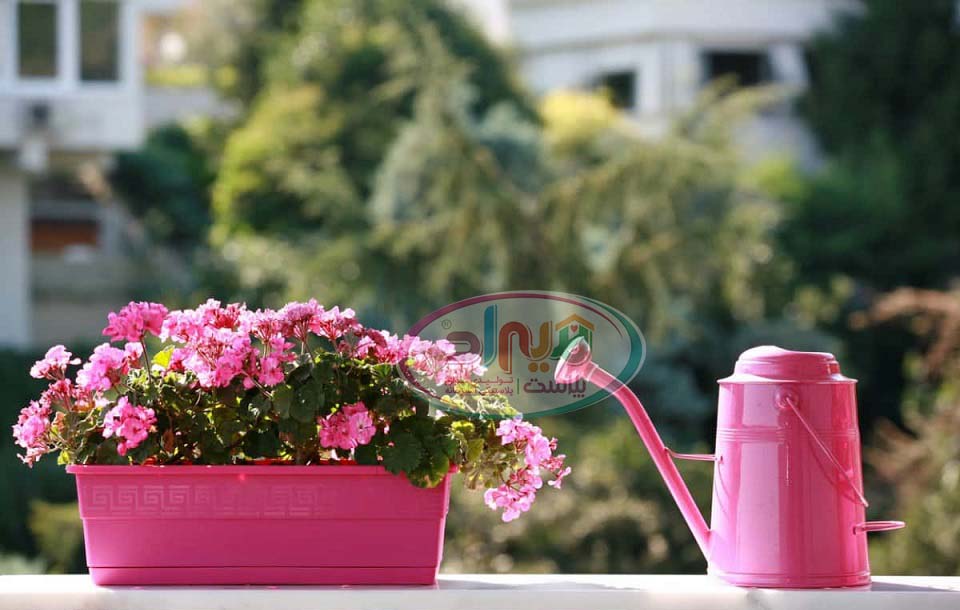 گلدان پلاستیکی تهران