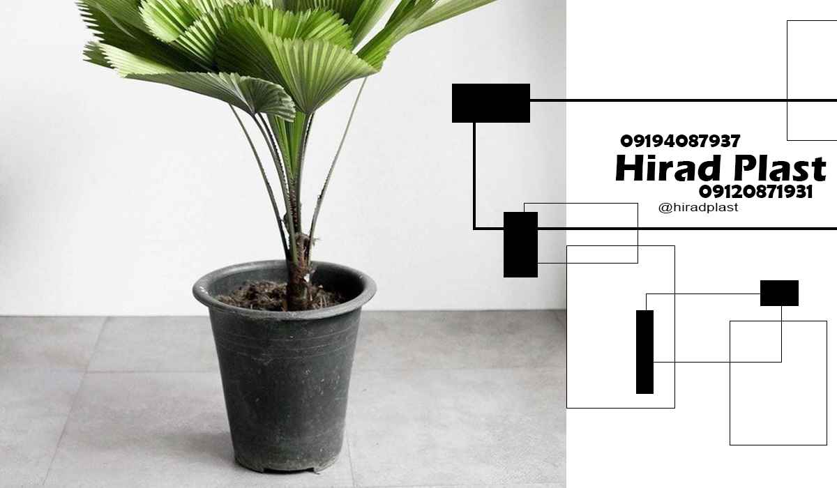 خرید گلدان پلاستیکی