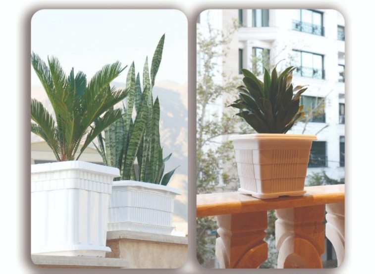 گلدان ارزان قیمت پلاستیکی