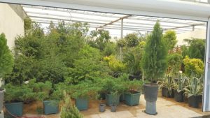 پخش عمده ی گلدان پلاستیکی