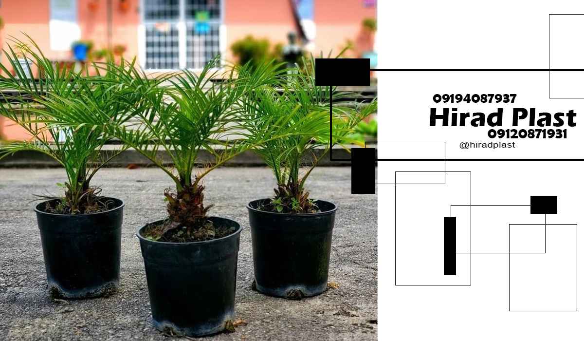 قیمت گلدان پلاستیکی