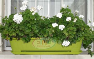 گلدان پلاستیکی تراس