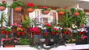 گلدان پلاستیکی تراس