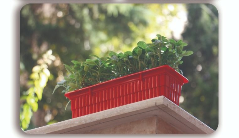 گلدان پلاستیکی تهران