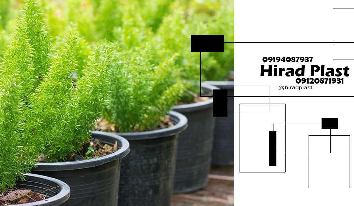 گلدان پلاستیکی