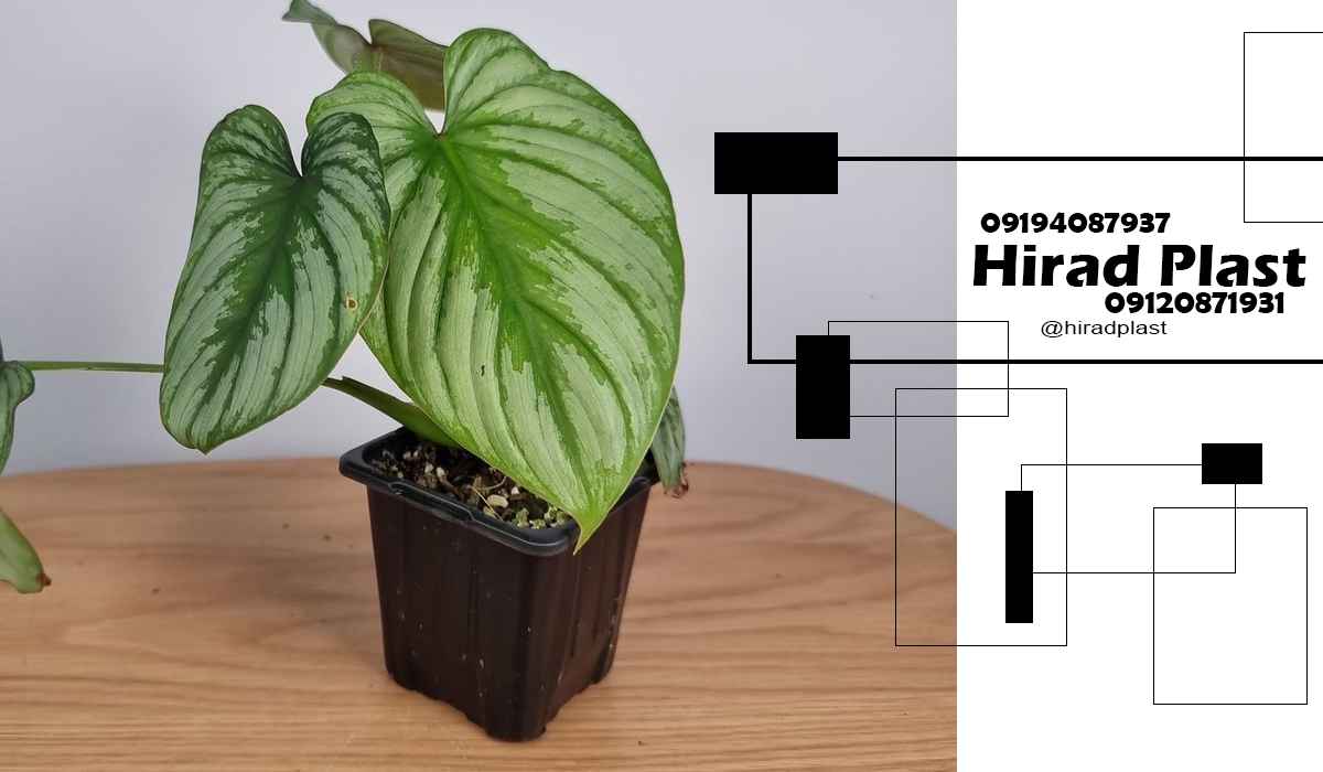 گلدان پلاستیکی ارزان