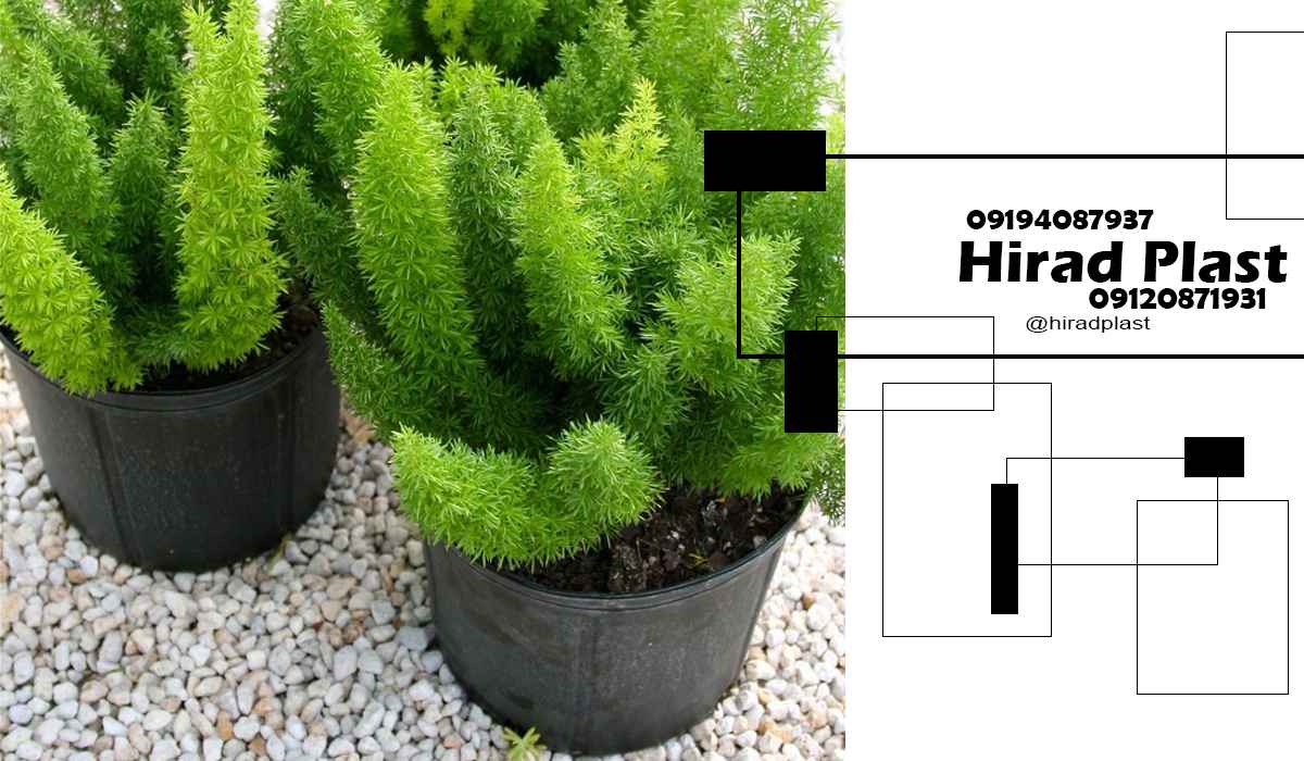 گلدان پلاستیکی باغی