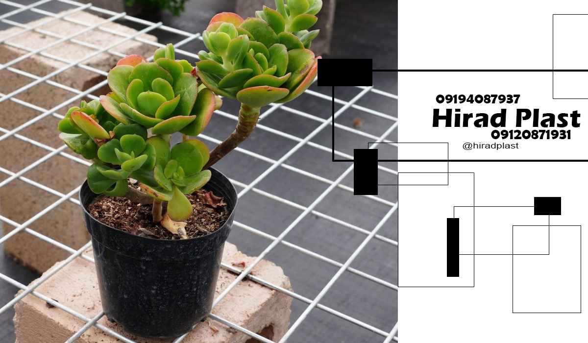 گلدان پلاستیکی نشا