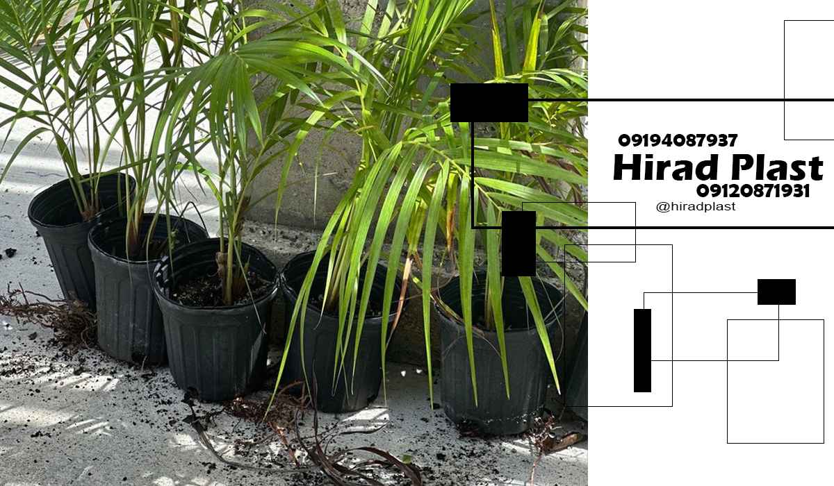 گلدان پلاستیکی کشاورزی