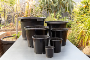 خرید گلدان پلاستیکی