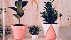 گلدان پلاستیکی زیبا